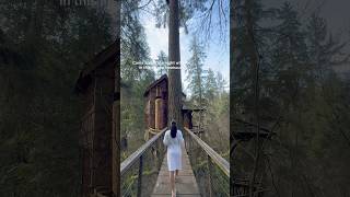 First time sleeping in a treehouse 🥹 #treehouse #bedandbreakfast #travel #seattle #bucketlist