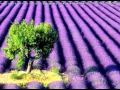 Jackie Lomax Lavender Dream 