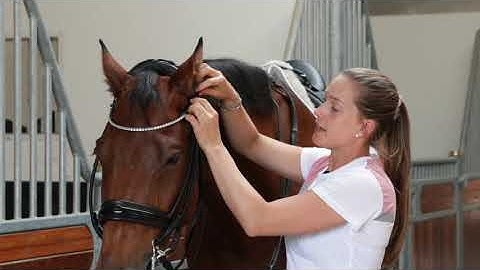 Cathrine Dufour  how to Fit your Double bridle from Finesse