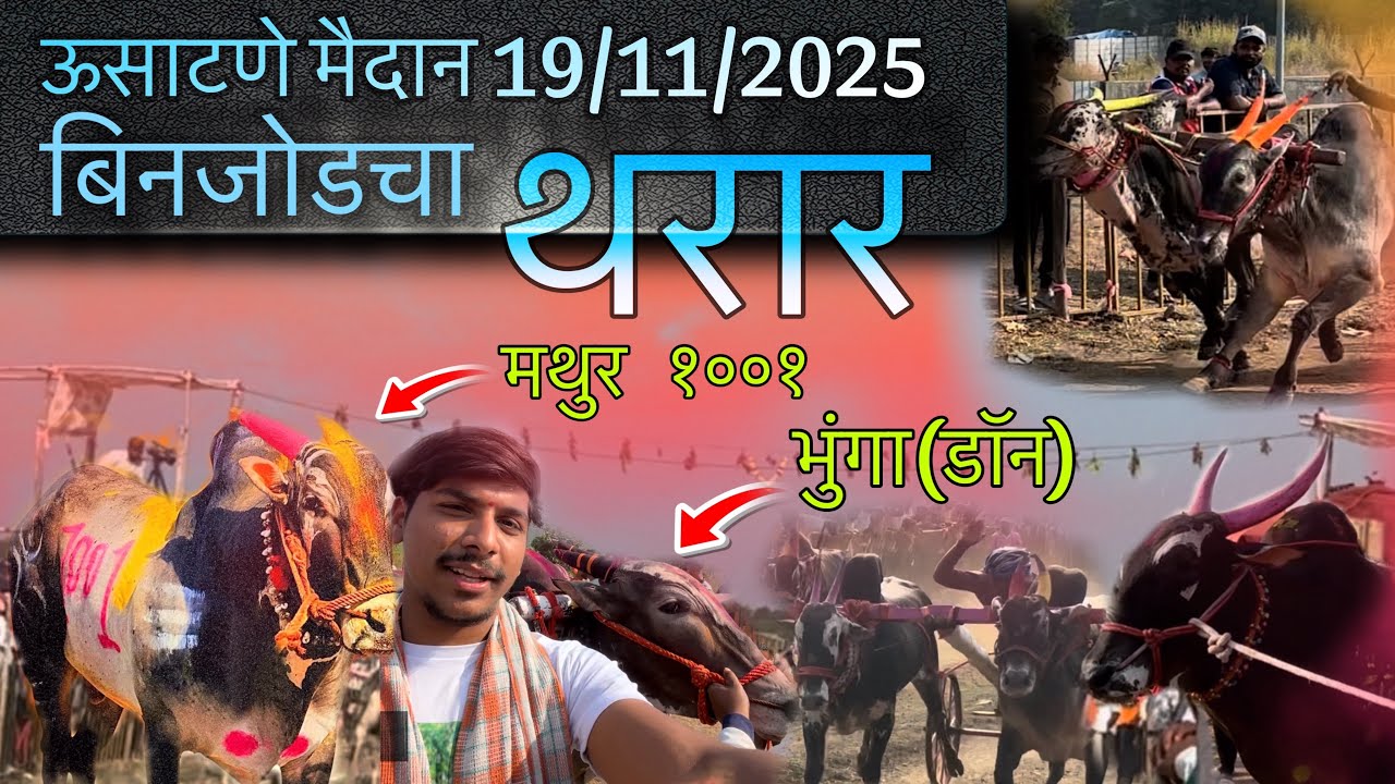 || vlog no 6 || ऊसाटणे मैदान 19/11/2025 बिनजोडचा थरार 🔥 मथुर १००१ / भुंगा डॉन / मैदानात दाखल #vlog 
