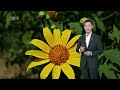 Dự báo thời tiết du lịch 7 ngày tới từ ngày 28/10 đến ngày 03/11/2025 | VTVWDB
