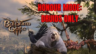 Can a Full Druid Party Survive Baldur's Gate 3 Honour Mode? | Part 1 Profile