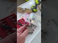 Life Ring Buoy Light Repair #momentsintime