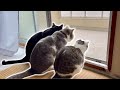転居を考えております