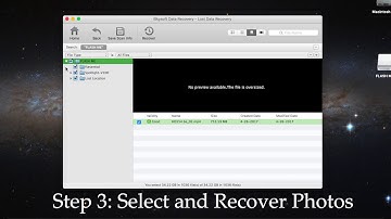 iSkysoft Data Recovery - The Best Hetman Photo Recovery for Mac Alternative