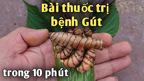 Bài thuốc trị bệnh Gút ( gout) trong 10 phút. PHAN HẢI Channel