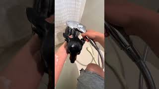 Bath and Clean for a Chihuahua ASMR #Shorts #Chihuahua #CuteDog #DogBath #ASMR #PetASMR #DogShorts