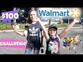 $100 WALMART SHOPPING CHALLENGE!