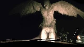 Mysterious Mothman Encounters Caught On Camera - Part 2
