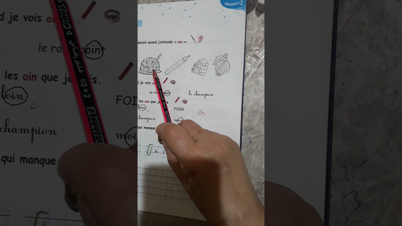 3èmeAP:cahier d'activités p33