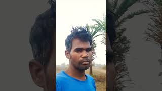 New Santhali  Chekate Akulu Bakul Short  Varel 