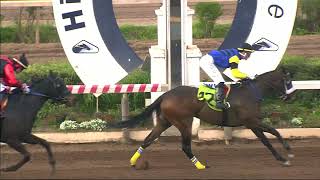 Vidéo de la course PMU PRIX ROCK ON