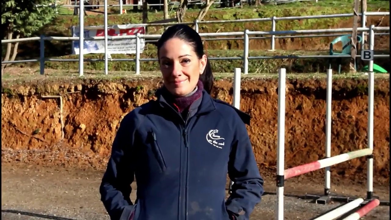 scuderia Horse On The Road