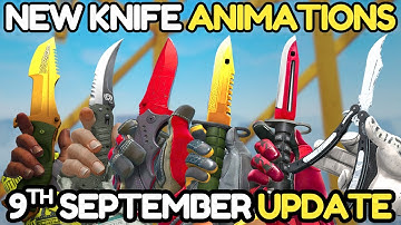 NEW CS2 Knife Animations UPDATE (BAYONET FIXED?)