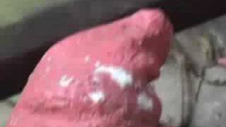 Gnome Sticks Scence night Zombie Gnomes