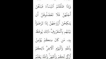 سوره مبارکه بقره آیات ۲۳۱و۲۳۲بامعنی گویا گوارای وجودتان#قرآن #قران_كريم #قران #قرآن_كريم #youtube