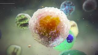 Medical Narration For Tslp In Asthma