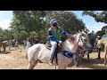 #100.Feira de cavalos 🏇 canafistula frei Damião. Alagoas. 08.02.2021
