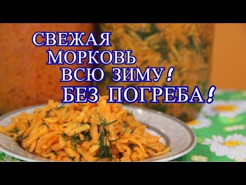 СВЕЖАЯ МОРКОВЬ ВСЮ ЗИМУ! БЕЗ ПОГРЕБА! КАК СОХРАНИТЬ МОРКОВЬ БЕЗ ПОГРЕБА.