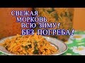 СВЕЖАЯ МОРКОВЬ ВСЮ ЗИМУ! БЕЗ ПОГРЕБА! КАК СОХРАНИТЬ МОРКОВЬ БЕЗ ПОГРЕБА.