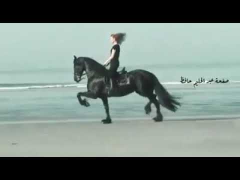 على حس الريح ميودي الريح