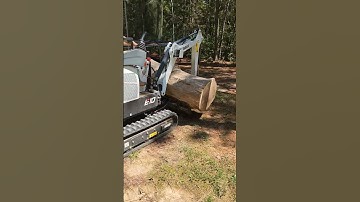 bobcat e10 excavator moving logs by boy