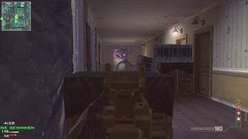 STB Niloo | Moabing Baki ox