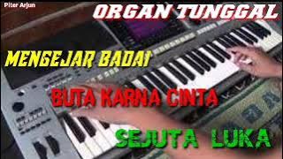 ORGAN TUNGGAL MENGEJAR BADAI BUTA KARNA CINTA SEJUTA LUKA