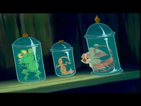 أغنية حياة الساحرات فيلم بارتوك العظيم