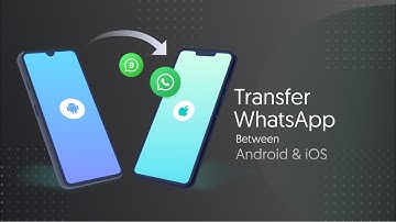 [Tutorial] Transfer WhatsApp without PC - iCareFone WTSapp Android-iOS V2.0