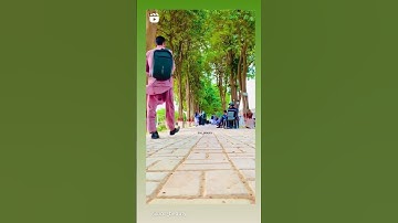 Love Road University of Sargodha #love #uos #university #beauty #nature #loveree #jheela #muhabbat