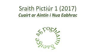 Sraith Pictiúr 01 (2017) - Cuairt ar Aintín i Nua Eabhrac