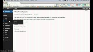 Quick Tour of the Wordpress Dashboard