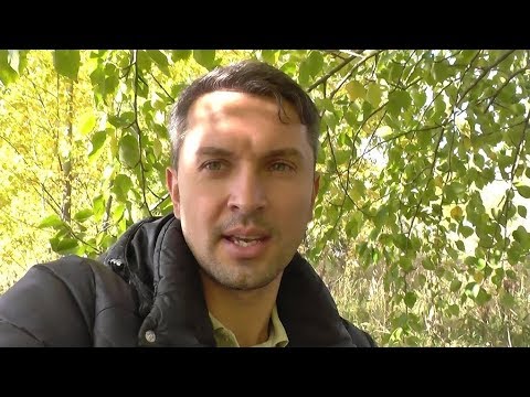 Червивые грибы (3)! Грузди и подтопольники, рассказ профессионала, сентябрь 2018!