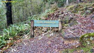 Old Lyell Cemetery
