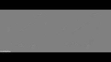 KNK808v2_2 - Fiduciary-free frame alignment and image stabilization (left: raw, right: aligned)