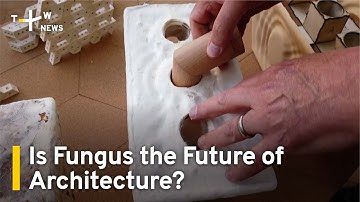 Is Fungus the Future of Architecture? | TaiwanPlus News