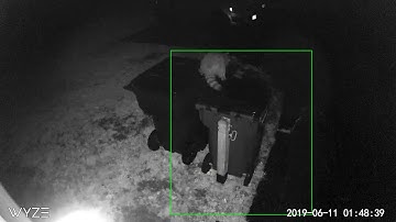 Strong Strap™ - Stopping a raccoon from getting into the garbage can.  #RaccoonPrevention