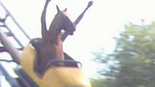TOP 5 HORSE