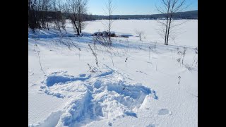 When things don't go according to plan... Mindfulness meditation for acceptance