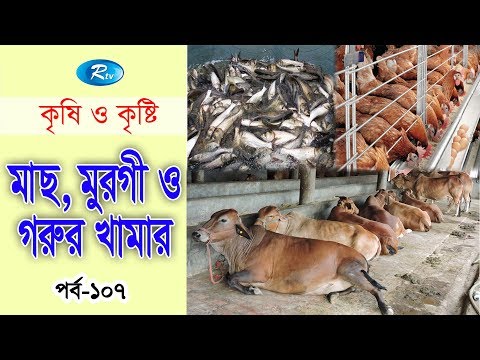 ভিডিও: রথচাইল্ডের খামার