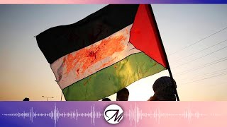 Podcast 85: Palestina