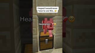 Epic Rescue END moment… 🥺💀 #shots #minecraft