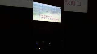 動不動就說愛我(芝麻龍眼)好歌