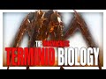 The terminids internal biology and lore in helldivers 2 explained