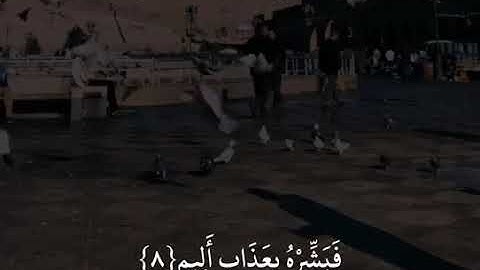 ماتيسر من القرأن بصوت رائع للشيخ سعد الغامدي / تلاوة خاشعة وجميلة جدا