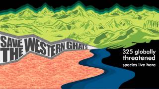 Save the Western Ghats: Endangered Species - Dancing Frog