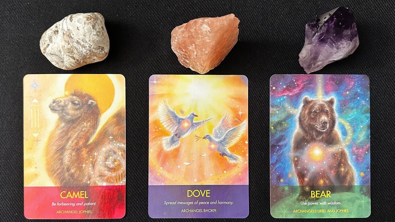 🤭Their LATE NIGHT Thoughts About YOU!! 🌙💤💕*Pick A Card* Timeless Tarot Psychic Love Reading