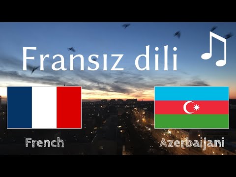 Video: Fransız Buldozları Necə Toxunur