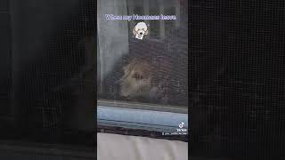 Mommy Come Back, Come Back Dont Leave Me